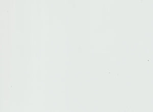 Montecabo 198/189- Schwert & Schild - Flammende Finsternis - Deutsch - Near Mint