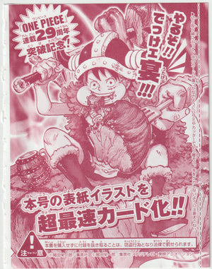 Meat Luffy - One Piece Monkey D. Luffy Promo P-159 29th Anniversary Sealed
