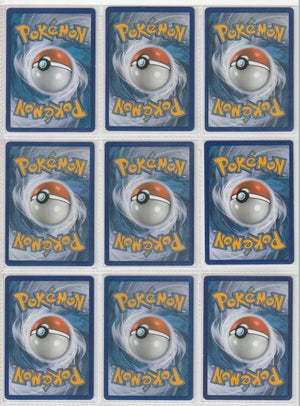 Evolution Master Set Pokemon Sammlung 216/202 Komplett Englisch (+ GRADED KARTEN) - Near Mint