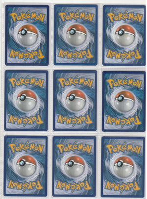 Evolution Master Set Pokemon Sammlung 216/202 Komplett Englisch (+ GRADED KARTEN) - Near Mint
